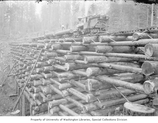 Schwarzes und weißes Foto eines Holzfäller-Lkw, der neben einem Holzstapel in einem bewaldeten Gebiet geparkt ist, mit mehreren Menschen auf den Holzstämmen und Bäumen im Hintergrund.