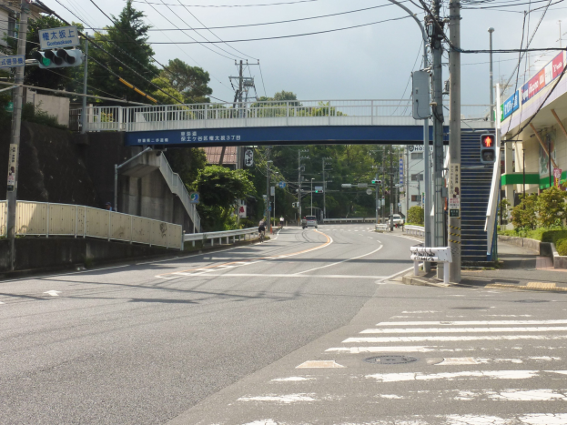 Stadtstraße mit einer Fußgängerbrücke darüber, Fahrzeuge auf der Straße, Strommasten mit Drähten, Verkehrsampeln, Schilder, Gebäude mit Fenstern, Bäume und ein Himmel im Hintergrund.