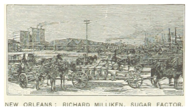 Ein Plakat, das eine Zuckerfabrik in New Orleans mit Pferdekarren zeigt, die mit Menschen, Gebäuden und Polen beladen sind; unten steht der Text "New Orleans Richard Milliken Sugar Factory".