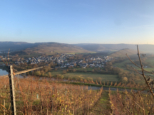Eine malerische Aussicht auf das Rheintal von einem Hügel aus, mit grünen Blättern, Häusern und einer Brücke, die den Fluss überspannt, vor einem blauen Himmel mit rollenden Hügeln im Hintergrund.