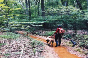 Eine Frau in einem roten Shirt und schwarzen Jeans, die einen Rucksack trägt, geht durch flaches Wasser und hält einen Hund an der Leine, umgeben von Pflanzen und Bäumen.