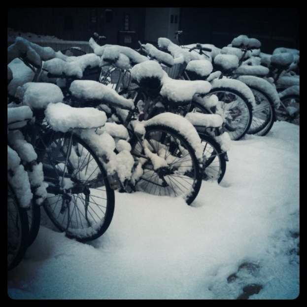 Mehrere Fahrräder sind auf einem schneebedeckten Boden geparkt, wobei auch die Fahrräder mit Schnee bedeckt sind.