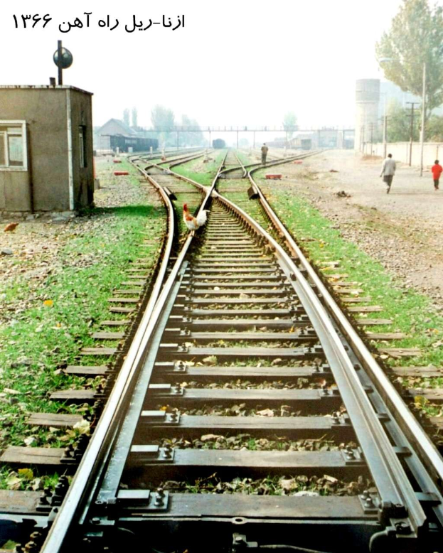 Ein Vogel sitzt auf einem Bahngleis, umgeben von Gras und Steinen, mit Menschen in der Nähe, Bäumen, Polen, Gebäuden und Himmel im Hintergrund und Text oben.