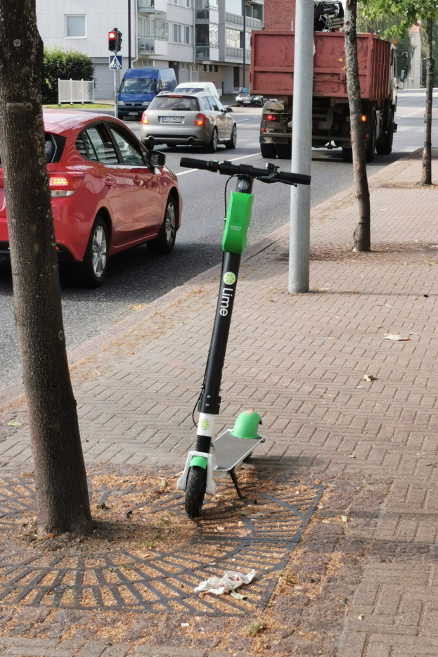Elektroroller auf einer Straße neben einem Baum mit Fahrzeugen und Gebäuden im Hintergrund.