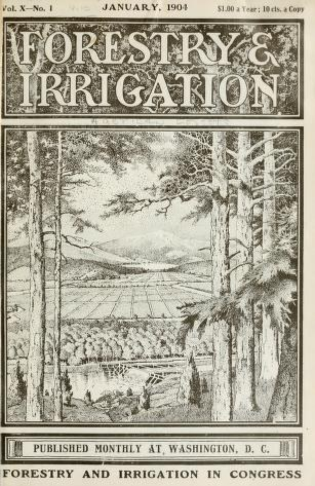 Ein altes Papier aus Januar 1904 mit der Überschrift "Forstwirtschaft und Bewässerung" mit einer Abbildung von grünen Bäumen in verschiedenen Schattierungen.