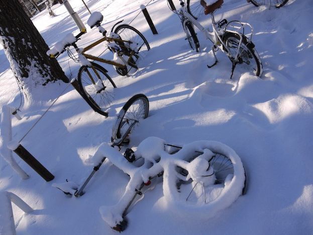 Eine Reihe von Fahrrädern, teilweise mit Schnee bedeckt, mit einem Baumstamm und Straße daneben.