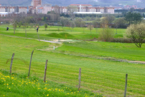 Golfplatz mit saftig grünem Rasen, hohen Bäumen, gelben Blumen im Vordergrund, Gebäuden und klarem blauen Himmel im Hintergrund sowie Menschen, die Golf spielen.