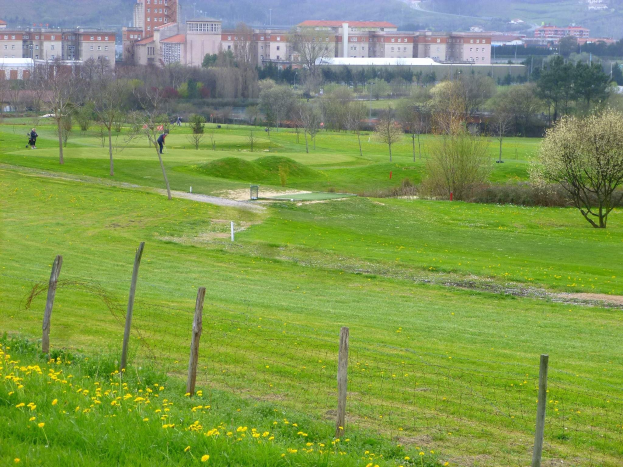 Golfplatz mit saftig grünem Rasen, hohen Bäumen, gelben Blumen im Vordergrund, Gebäuden und klarem blauen Himmel im Hintergrund sowie Menschen, die Golf spielen.