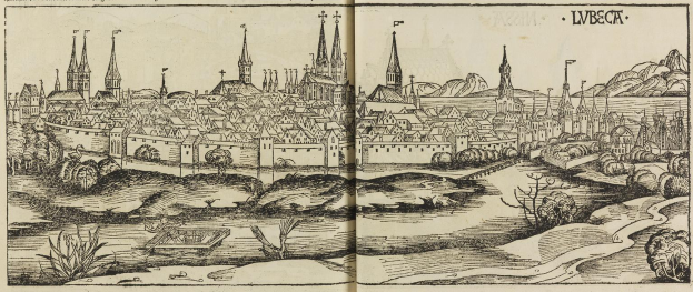 Offenes Buch mit einer detaillierten Illustration aus dem 16. Jahrhundert von Lwiw, Ukraine, das Gebäude, Bäume, Pflanzen, Wasser und Text zeigt.