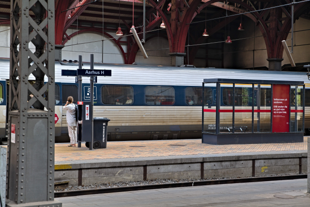 Ein Zug fährt auf einem Bahnsteig ein mit einer Person in der Nähe, einem Müllcontainer, Pfölen, Informationsanzeigen und Deckenleuchten.