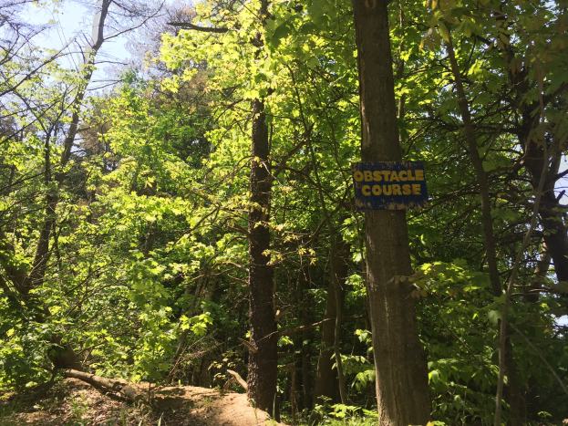 Ein Schotterweg im Wald, der von einem hölzernen Schild mit der Aufschrift "Hindernisparcours" markiert ist, umgeben von Bäumen und mit einem sichtbaren Himmel im Hintergrund.