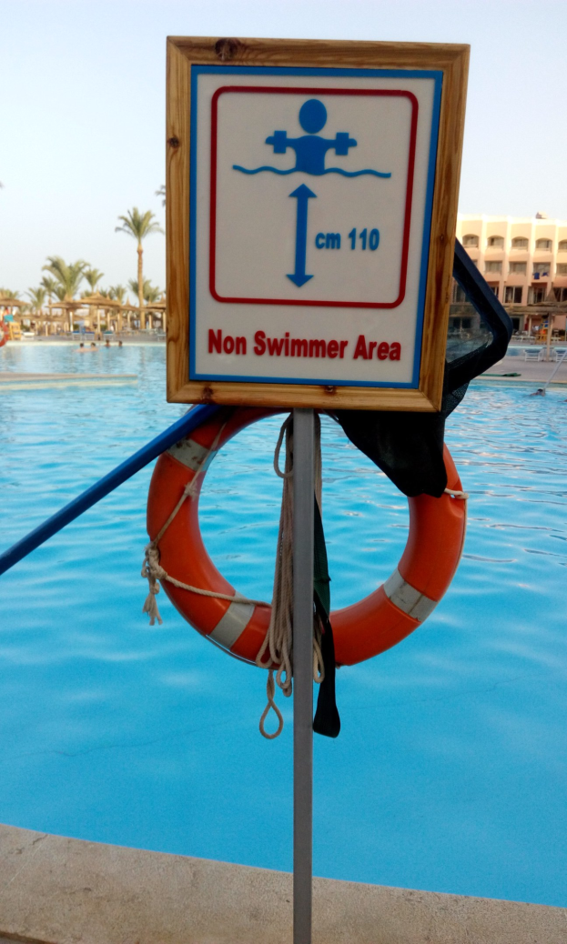 So viele Schwimmabzeichen wurden während der DLRG-Aktion in Wolfenbüttel verliehen