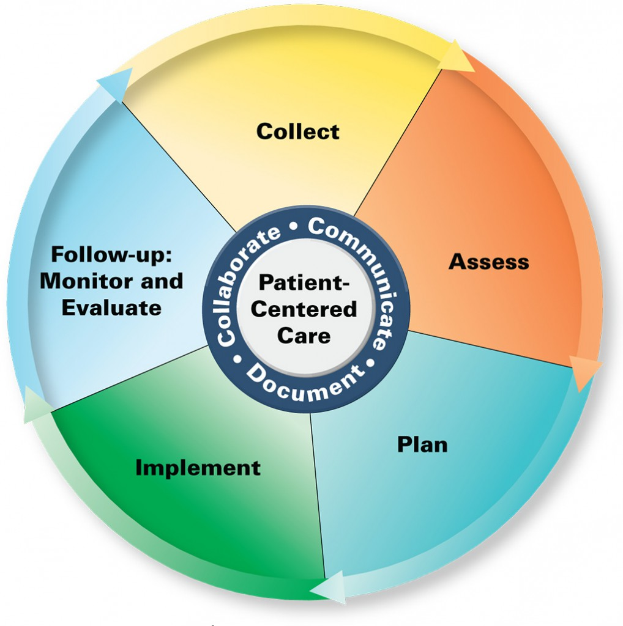 Ein Kreisdiagramm mit "patientenorientierte Versorgung" in der Mitte, unterteilt in vier farbige Abschnitte, jeweils mit einer Beschreibung der Versorgung.