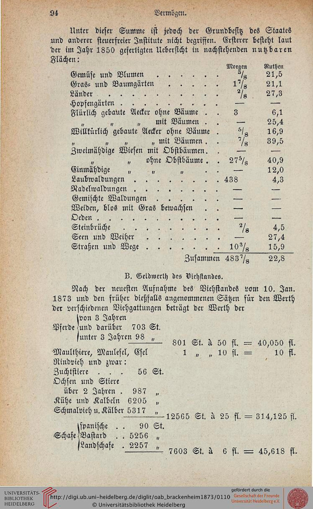 Titelblatt der 1873-Ausgabe der Universität Heidelberg, das Text- und numerische Details zur Universitätsgeschichte anzeigt.
