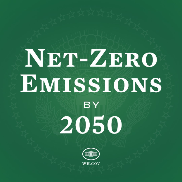 Weißer fetter Text "Netto-Null-Emissionen bis 2050" auf einem festen grünen Hintergrund.