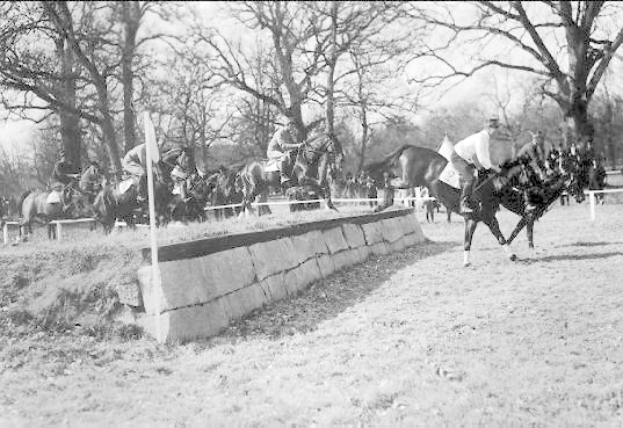 Eine Gruppe von Menschen reitet auf Pferden auf einer grünen Wiese, mit einer Wand und Stangen im Vordergrund und Bäumen und Himmel im Hintergrund. Der Text unten lautet "Springreiten bei den National Horse Show in Washington, D.C. USA".