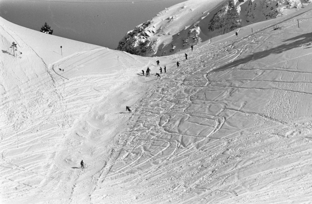 Schwarze und weiße Fotografie von Menschen, die eine schneebedeckte Piste mit Bäumen und Pfählen hinunterfahren.