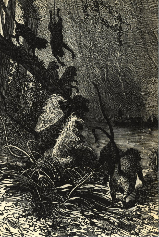 Schwarze und weiße Illustration einer Gruppe von Löwen in einer Dschungelumgebung mit üppiger Vegetation und Bäumen, mit dem Text 'Der Löwenkönig' unten.