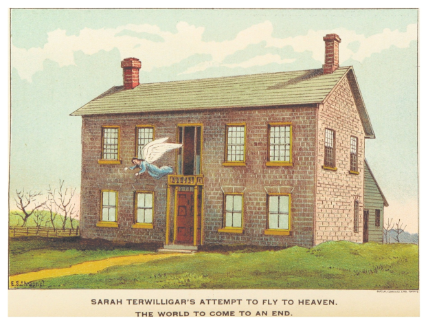 Ein Plakat zeigt Sarah Terwilligers Versuch, in den Himmel zu fliegen, mit einem zentralen Haus umgeben von Bäumen und dem Text 'Die Welt wird untergehen.'