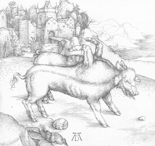 Eine Schwarz-Weiß-Zeichnung von zwei Schweinen in einer Landschaft mit einem Schloss, Bäumen, Hügeln und einem Gewässer im Hintergrund, betitelt mit "Albrecht Dürer - Die drei Eber".